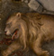 Detail: Slain lion, inscription