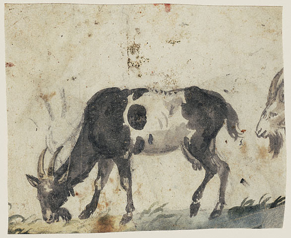 Study of a Stag (recto); Study of Goats (verso):Verso: Study of Goats