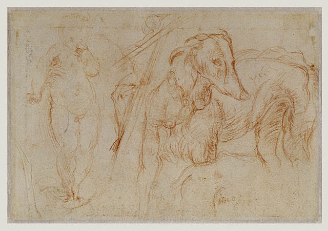 Studies of Saints John the Baptist and Jerome, a Crucifix, and Various Heads (recto); Studies of the Christ Child, a Crucifix, and a Dog (verso):Verso: Studies of Saints