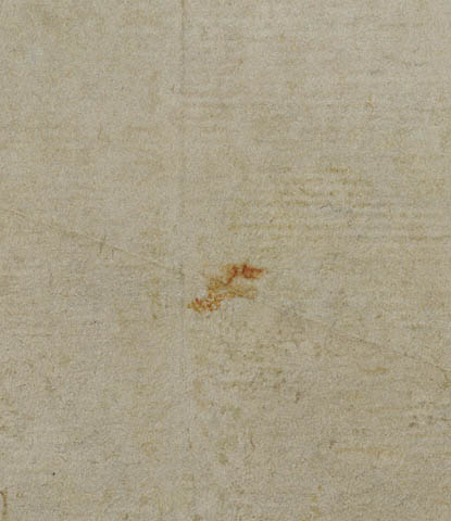 Studies of Peonies:Watermark