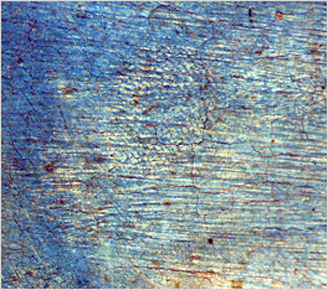 Christ on the Cross with Saints Mary, John the Evangelist and Catherine of Siena:Smudgemarks