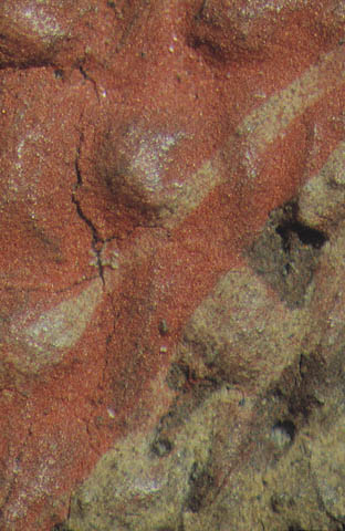 The Annunciation:Magnified image