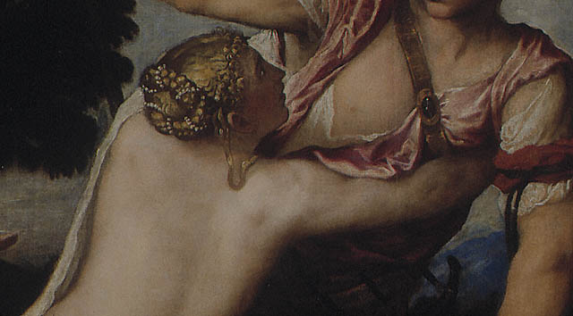 Venus and Adonis:Detail of shoulder