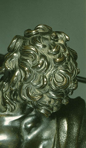 Neptune and Dolphin:Hair