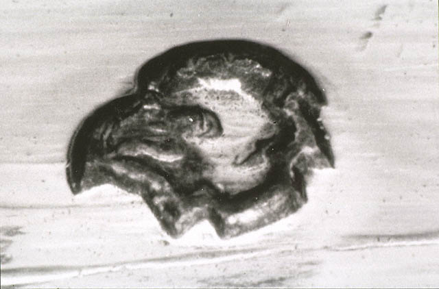 Pair of Lidded Tureens, Liners, and Stands:Discharge mark: hen's head