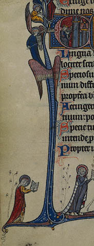Initial E: David Playing the Harp:Stag
