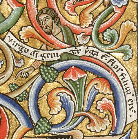 Initial F: The Tree of Jesse:Jesus' scroll