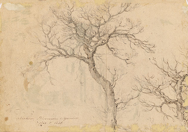 View of a Farm Courtyard (recto), Study of a Tree (verso):