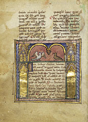 fol. 1v: A Dove and a Falcon