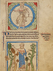 fol. 2: Creation