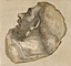 Cartoon of Head / Sebastiano d. Piombo