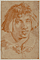 Young Man / Bernini