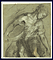 Figure Study / Barocci