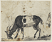Verso: Study of Goats