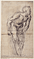 Standing Male Nude / Naldini