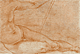Seated Figure / Pontormo