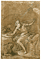 St. Jerome / Carducho