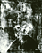 Overall X-ray