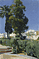 Corner of Garden / Sorolla y Bastida