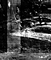 X-ray detail