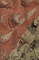 Magnified image