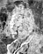 UV image