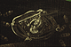 Inscription on badge