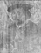 X-ray image