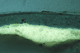 Cross-section of paint layers