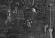 X-ray of removed family group