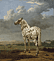 Piebald Horse / Potter