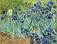 Irises / Van Gogh