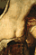 Detail of buttocks