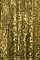 Garment