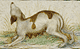 d'Este Hours / Crivelli