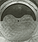 Upper dial