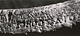 Inscription