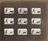 Animals in Motion / Muybridge