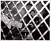 Frank Pape / Weegee