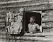 Gee's Bend / Rothstein