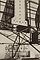 Manhattan / W. Evans