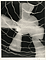 Breeze / Man Ray