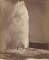 Old Faithful / Jackson