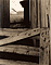 Louiseville / Strand
