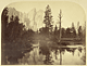 River View / C. Watkins