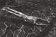 Underwater Swimmer / Kertész