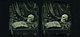 Vanitas / Williams