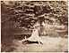 The Beech Tree / Le Gray