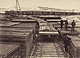Rails, Manassas Gap / Russell