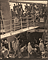 Steerage / Stieglitz
